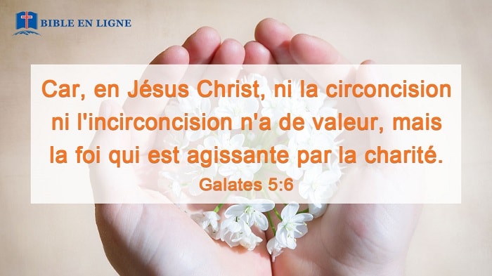Car, en Jésus Christ, ni la circoncision ni l'incirconcision n'a de valeur, mais la foi qui est agissante par la charité. (Galates 5 ：6)