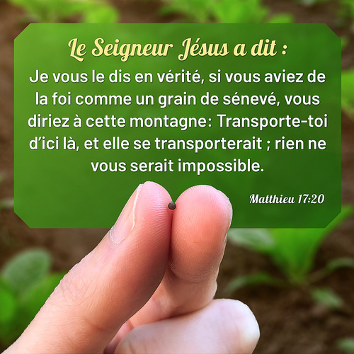 La Foi Qui Est Agissante Par La Charite Versets Bibliques En Images Bible En Ligne Le Salut De Dieu