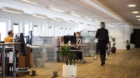 bureau
