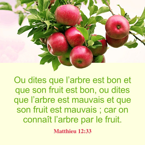versets bibliques en images, Matthieu 12:33