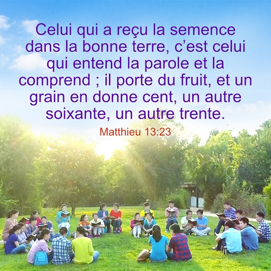 versets bibliques en images – Matthieu 13：23