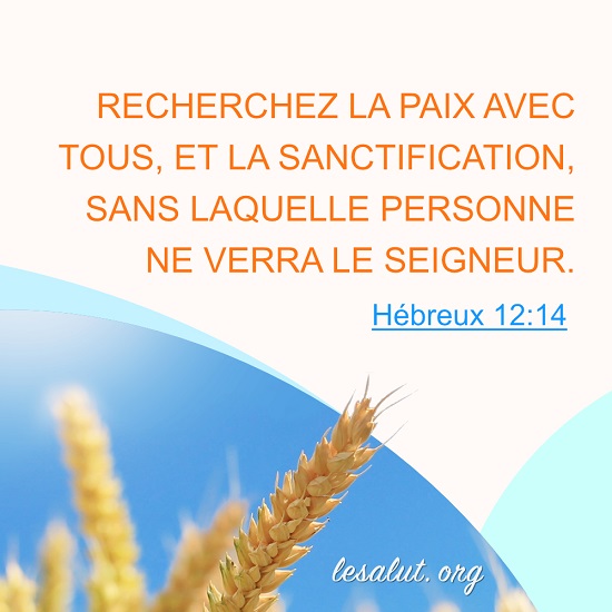 Hébreux 12:14 – Recherchez la sanctification