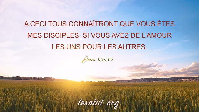 8 Versets Bibliques Sur Lamour Bible En Ligne Le Salut