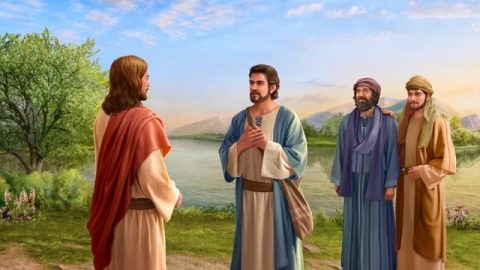 Mais aussi, de tous les apôtres qui suivaient le Seigneur Jésus-Christ, en dehors de Pierre, qui a été éclairé par le Saint-Esprit du fait que le Seigneur Jésus était le Christ