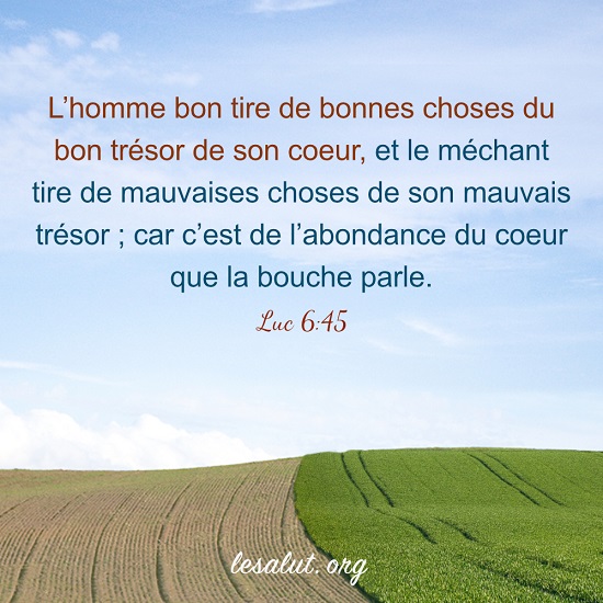 Évangile du jour – Discerner le bien et le mal