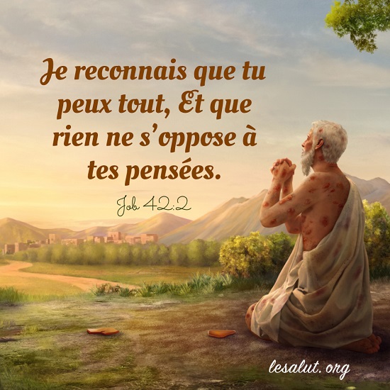 Évangile du jour – La connaissance de Job sur Dieu