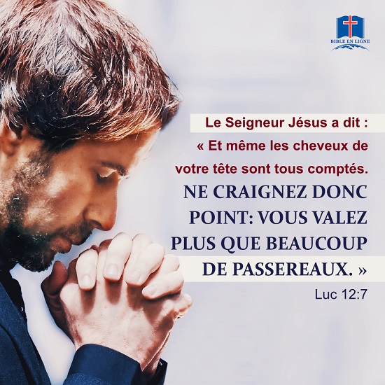 Luc 12:7 Et même les cheveux de votre tête sont tous comptés. Ne craignez donc point: vous valez plus que beaucoup de passereaux.