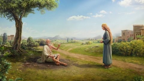 « Mais Job lui répondit: Tu parles comme une femme insensée. Quoi ! nous recevons de Dieu le bien, et nous ne recevrions pas aussi le mal ! » (Job 2:10)