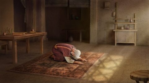 Job 1:20 Alors Job se leva, déchira son manteau, et se rasa la tête ; puis, se jetant par terre, il se prosterna.