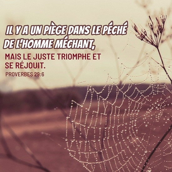 Proverbes 29:6 Il y a un piège dans le péché de l’homme méchant, Mais le juste triomphe et se réjouit.