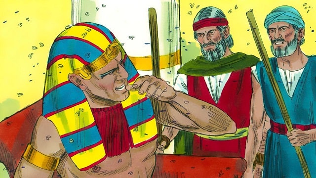 Quatrième fléau : les mouches venimeuses
