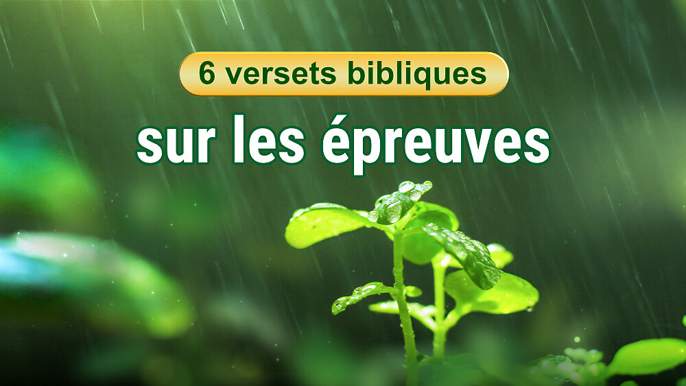 6 versets bibliques sur les épreuves