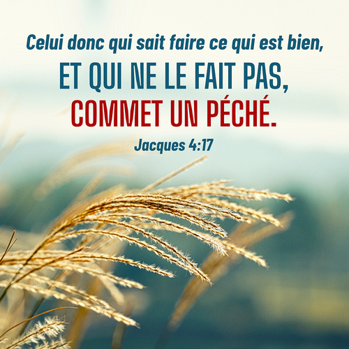 Dieu Est Pour Nous Un Refuge Et Un Appui Versets Bibliques En Images Bible En Ligne Le Salut De Dieu Dieu Est Pour Nous Un Refuge Et Un Appui Versets Bibliques En Images Bible En Ligne Le Salut De Dieu