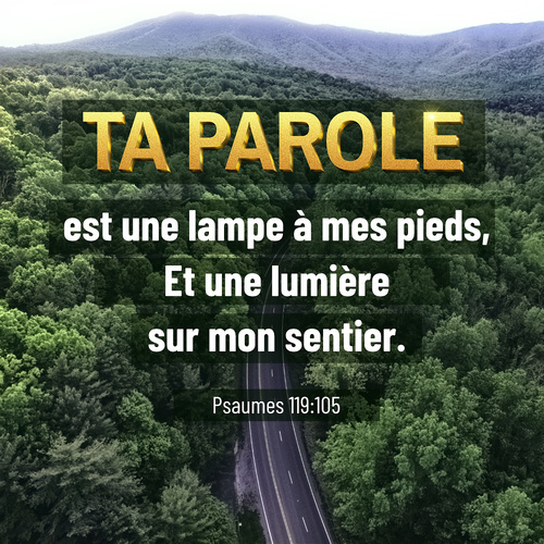 La parole de Dieu nous offre la direction pour le progrès