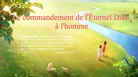 « Dieu Lui-même, l’Unique IV La sainteté de Dieu (I) » Partie 1