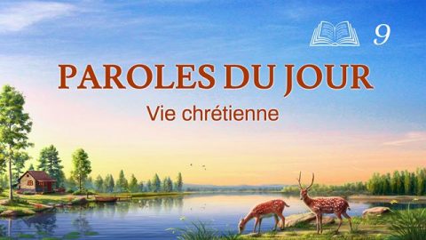Paroles du jour | « La connaissance des trois étapes de l’œuvre de Dieu est la voie de la connaissance de Dieu » | Extrait 9