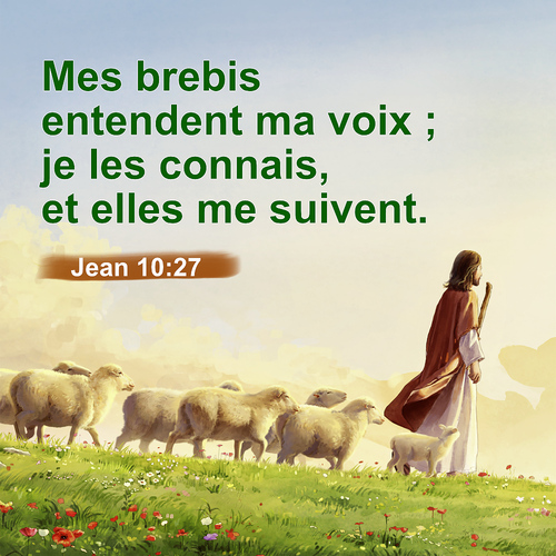 Jean 10 27