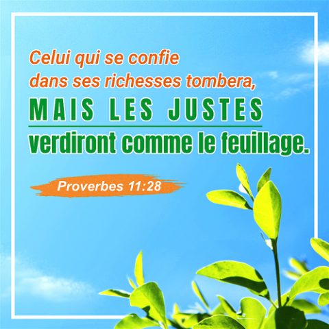 Proverbes 11:28