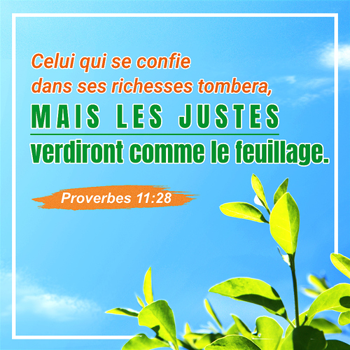 Proverbes 11:28